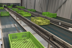 transportes-de-cajas